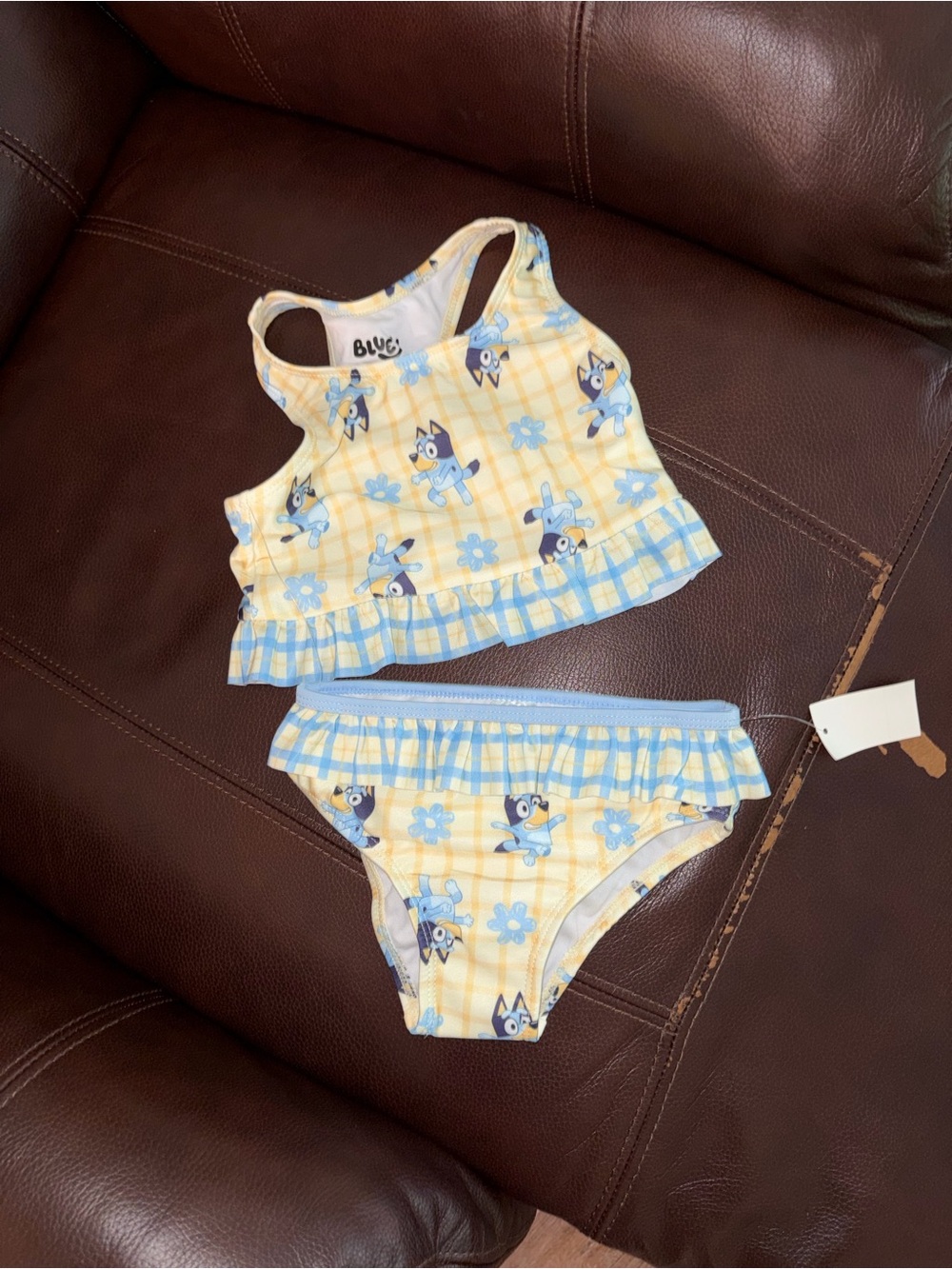 Bluey Two-Piece Swim Set